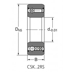CSK 25 2RS
